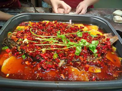 成都烤魚培訓機構哪家強？成都學燒烤烤魚哪里有培訓班？